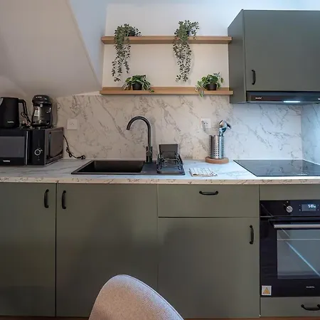 L écrin Duplex Cosy Hypercentre Appartement