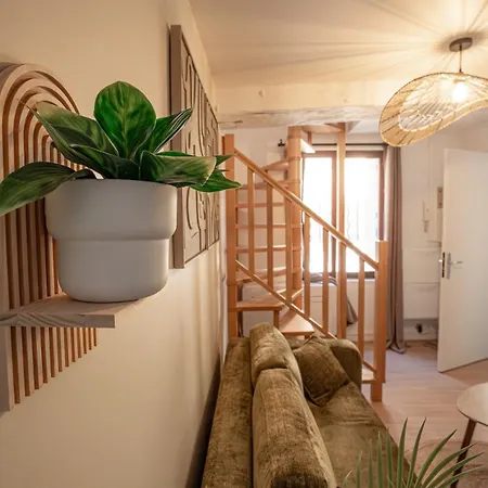 L écrin Duplex Cosy Hypercentre Appartement Rouen